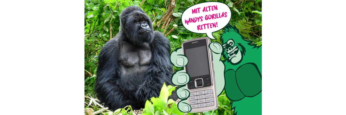 Mit alten Handys Gorillas retten – eine Handysammelaktion von RUEHE ecoClean - 